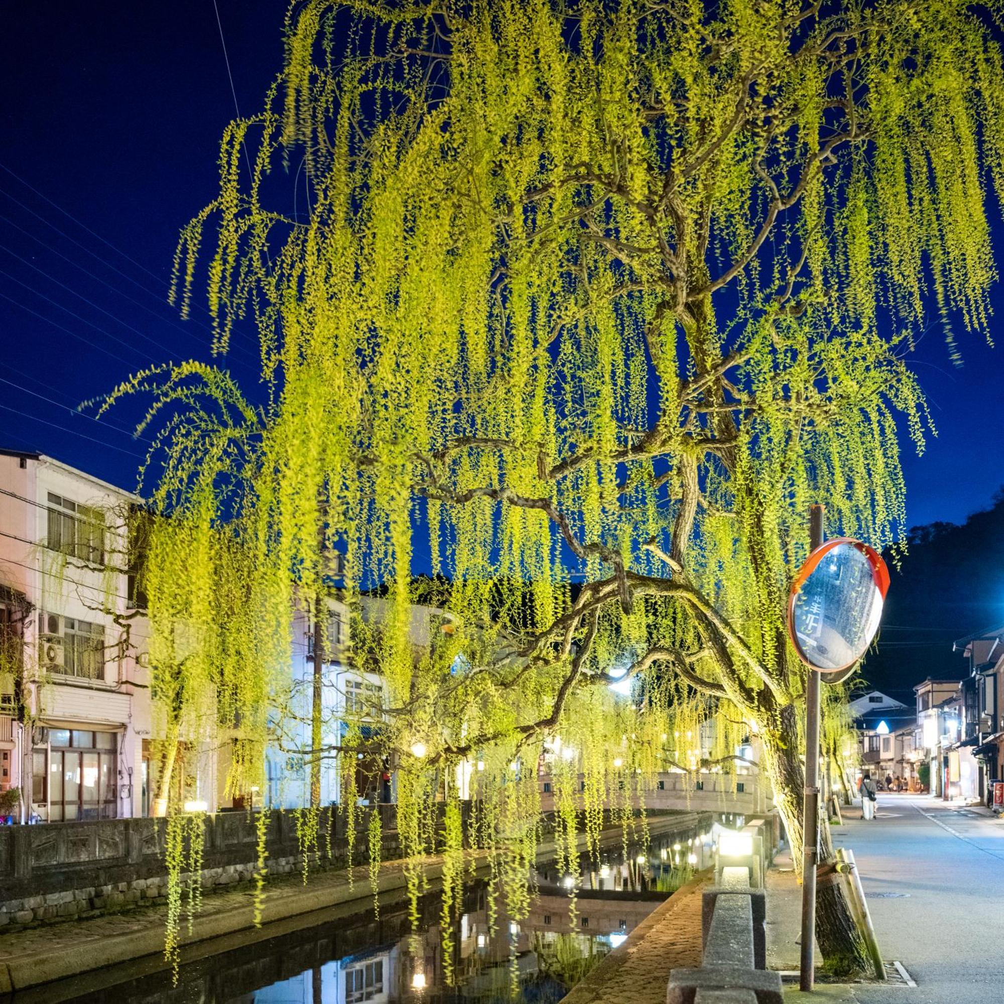 Mikuniya Hotel Toyooka  Ngoại thất bức ảnh